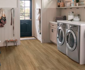 MOUNTAIN VIEW (CLEARANCE)