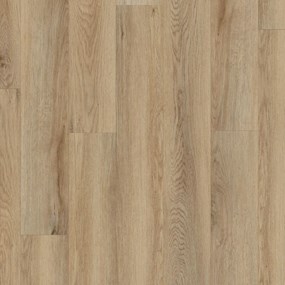 Cartwheel Oak