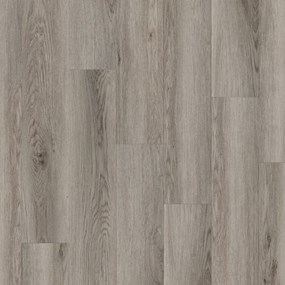 Cigar Oak