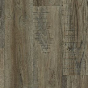 Colonial Pecan