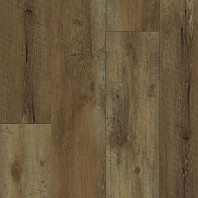 European Oak