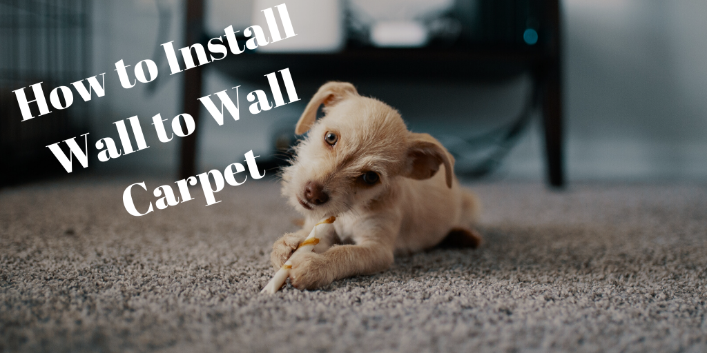 How to Install Wall to Wall Carpet